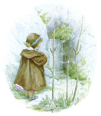 The path ends The path ends