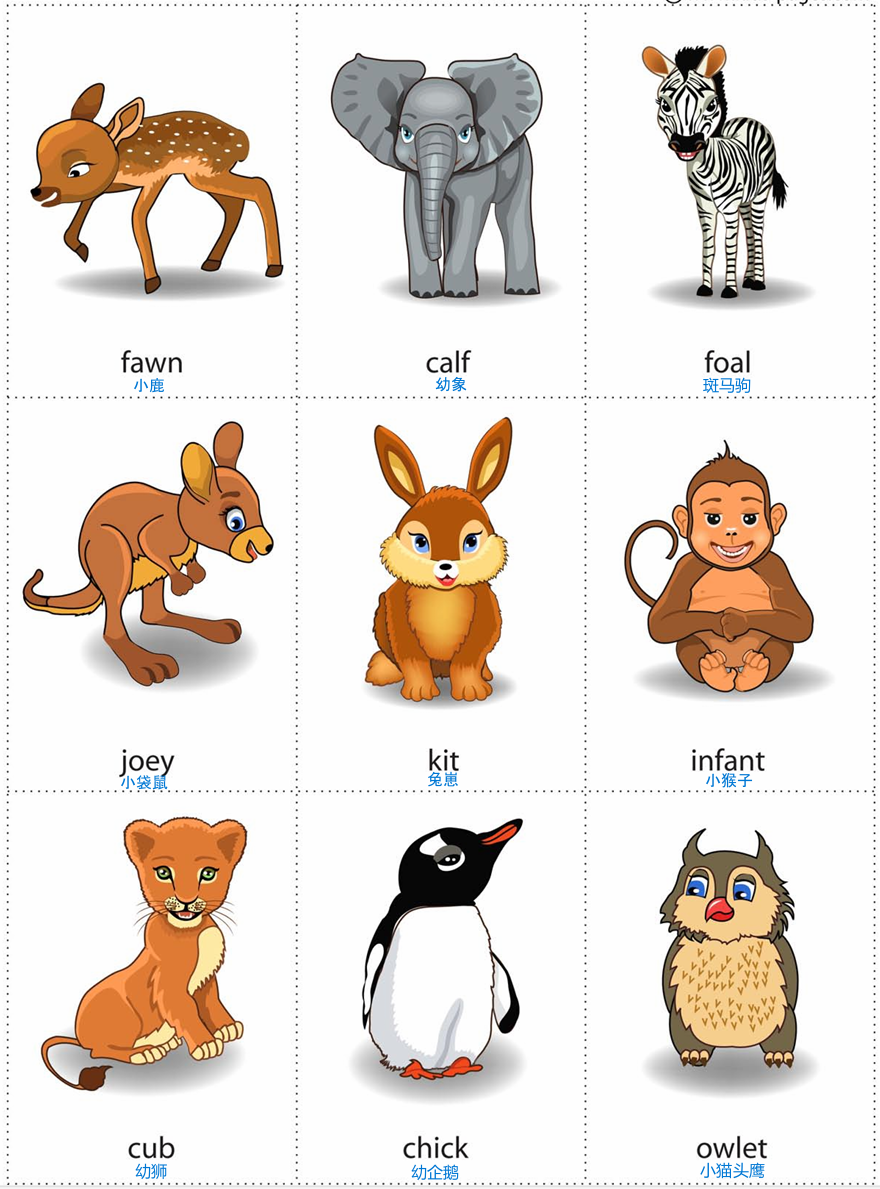 animal baby 2