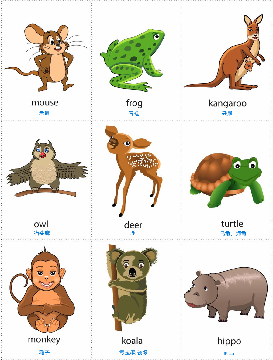 wild animal 1