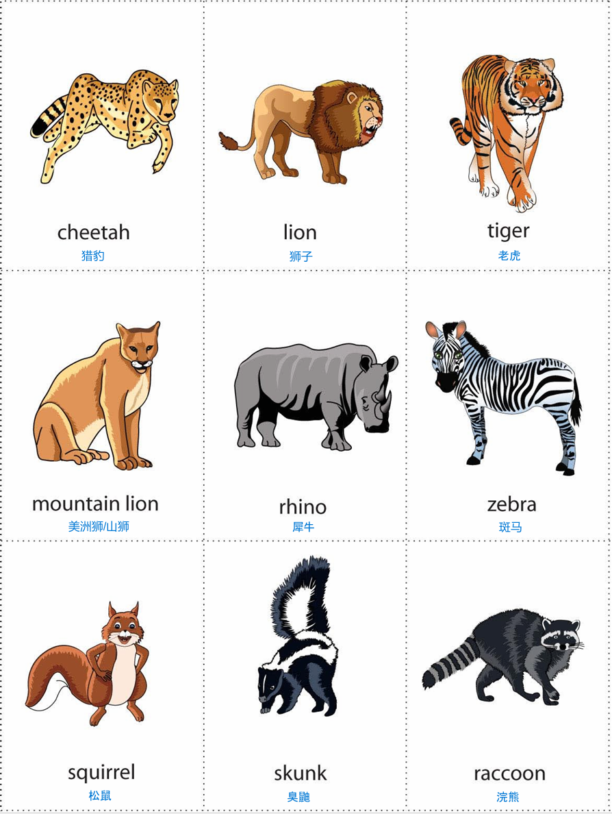 wild animal 2