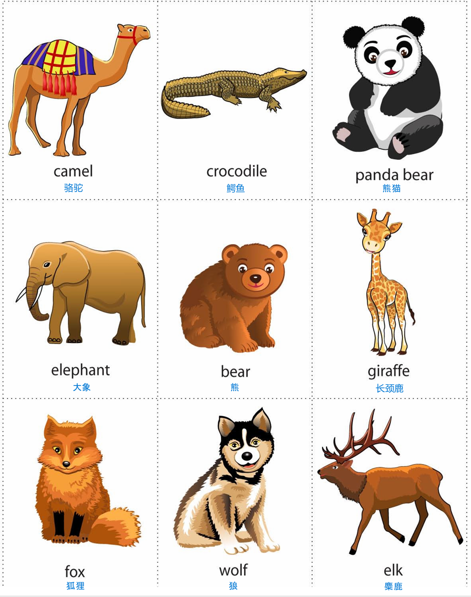 wild animal 3