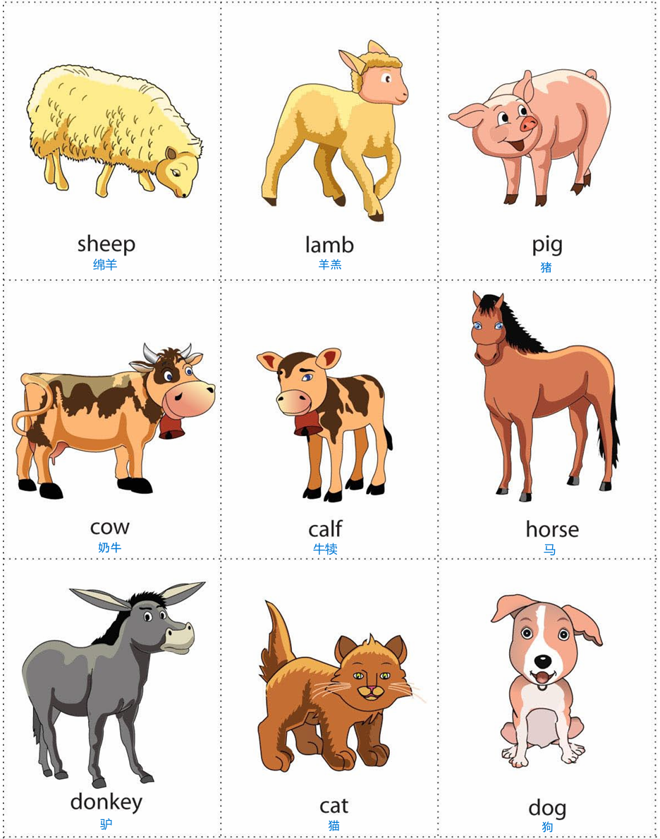 farm animal 1