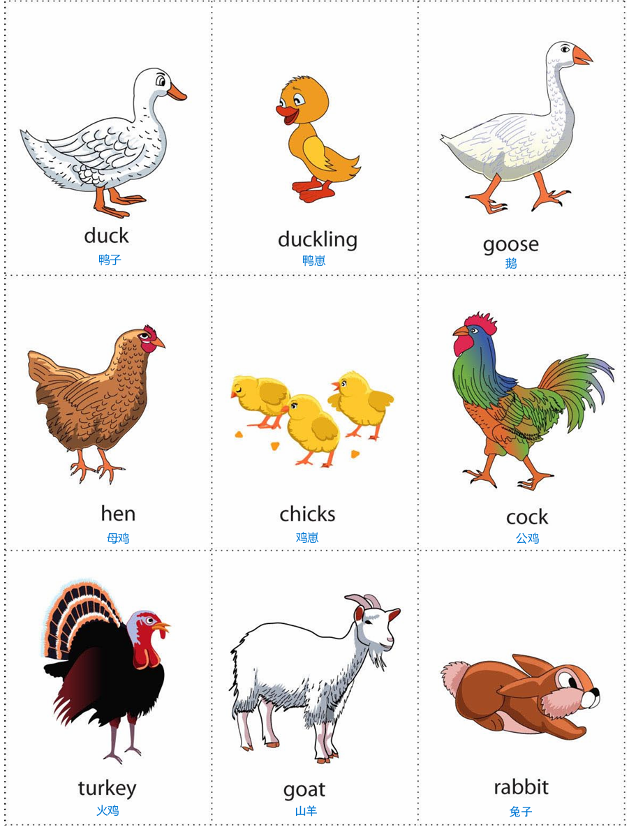 farm animal 2