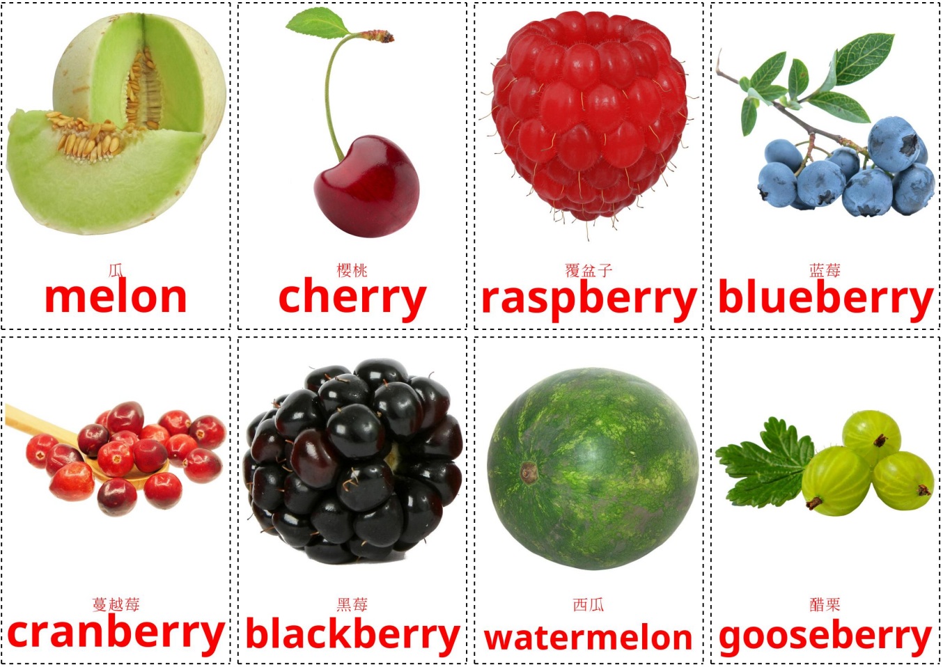 berries 1