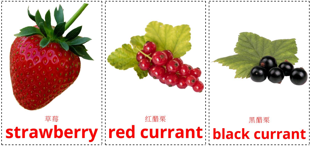 berries 2