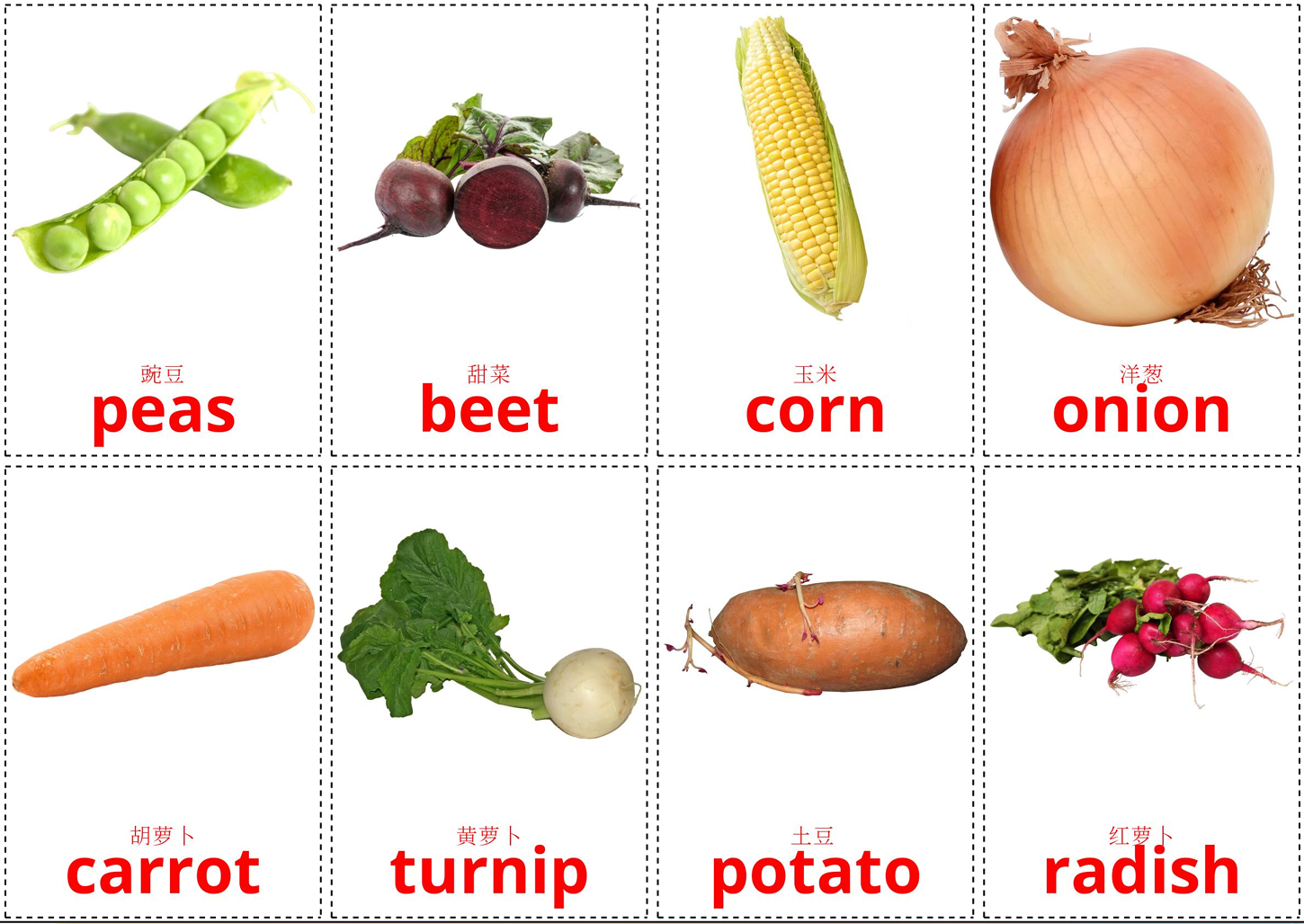 vegetables1