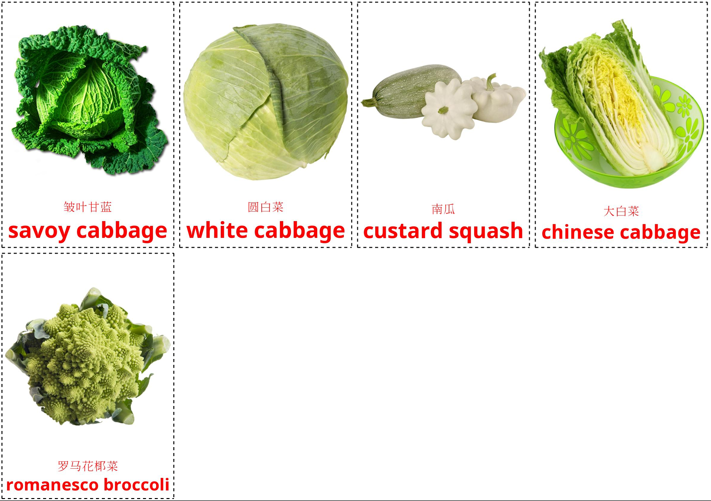 vegetables 4